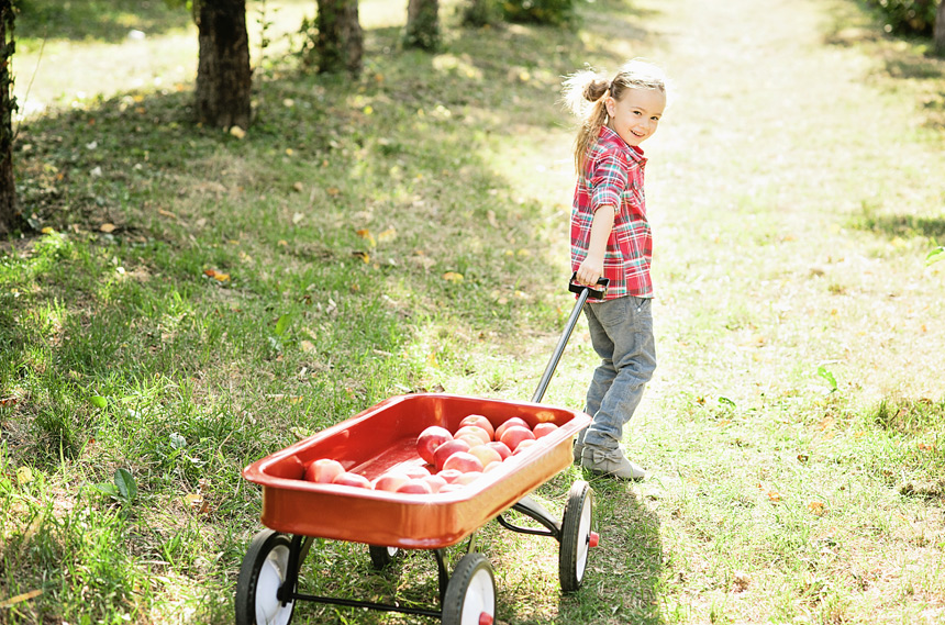 Girl with Wagon